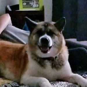 Meet your Posher, Janine